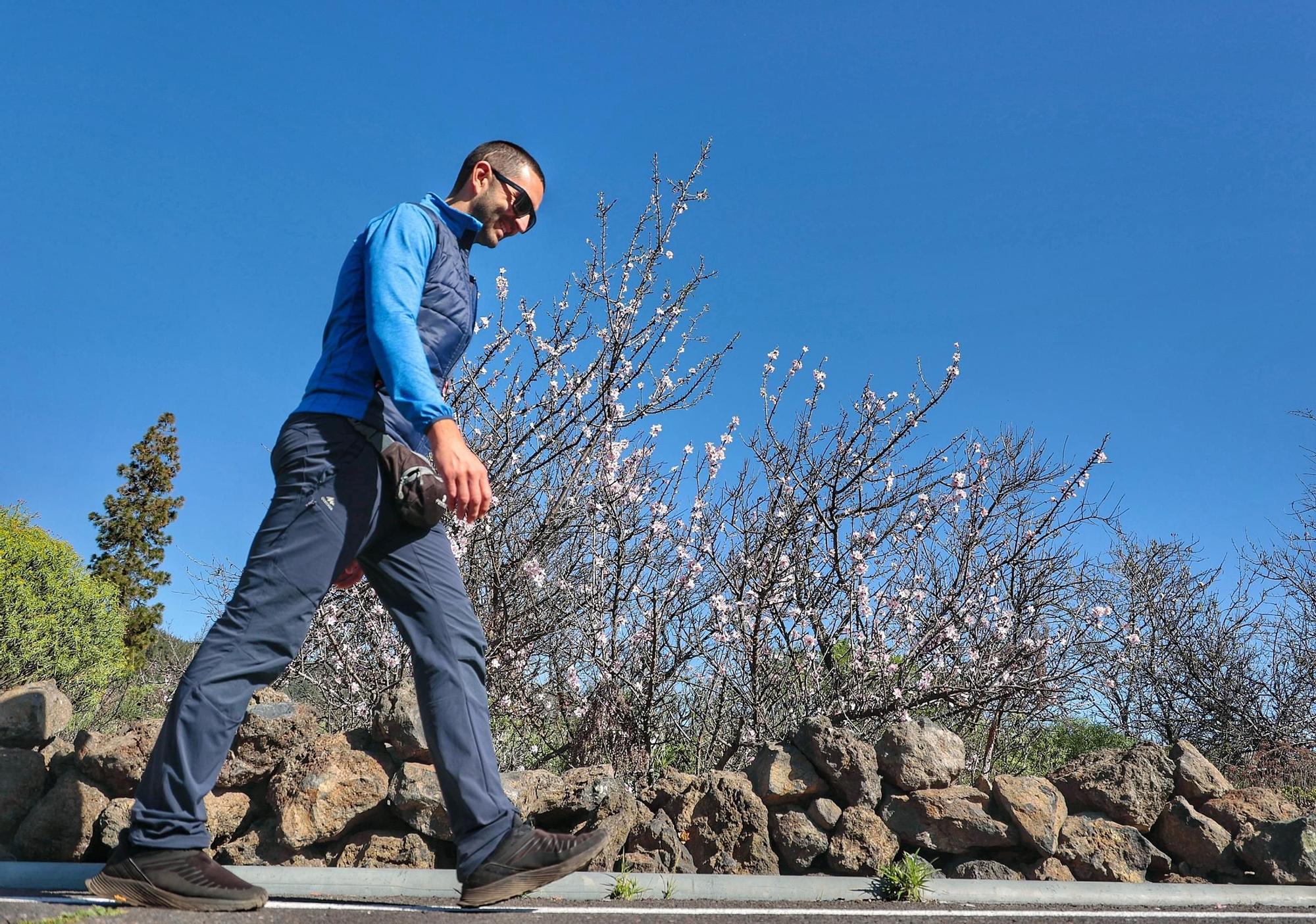 Pateos para ver el almendro en flor