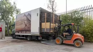 Bioparc Valencia recibe nuevos animales de especies en peligro de extinción