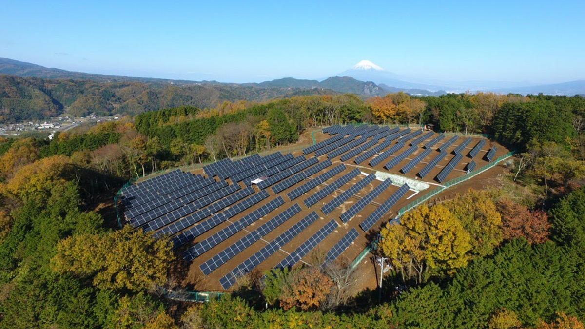 Paneles solares en una zona boscosa.