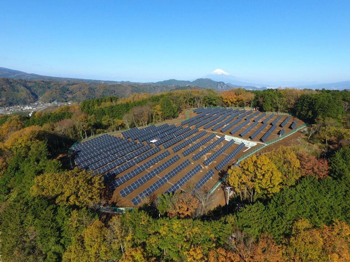 Paneles solares en una zona boscosa.
