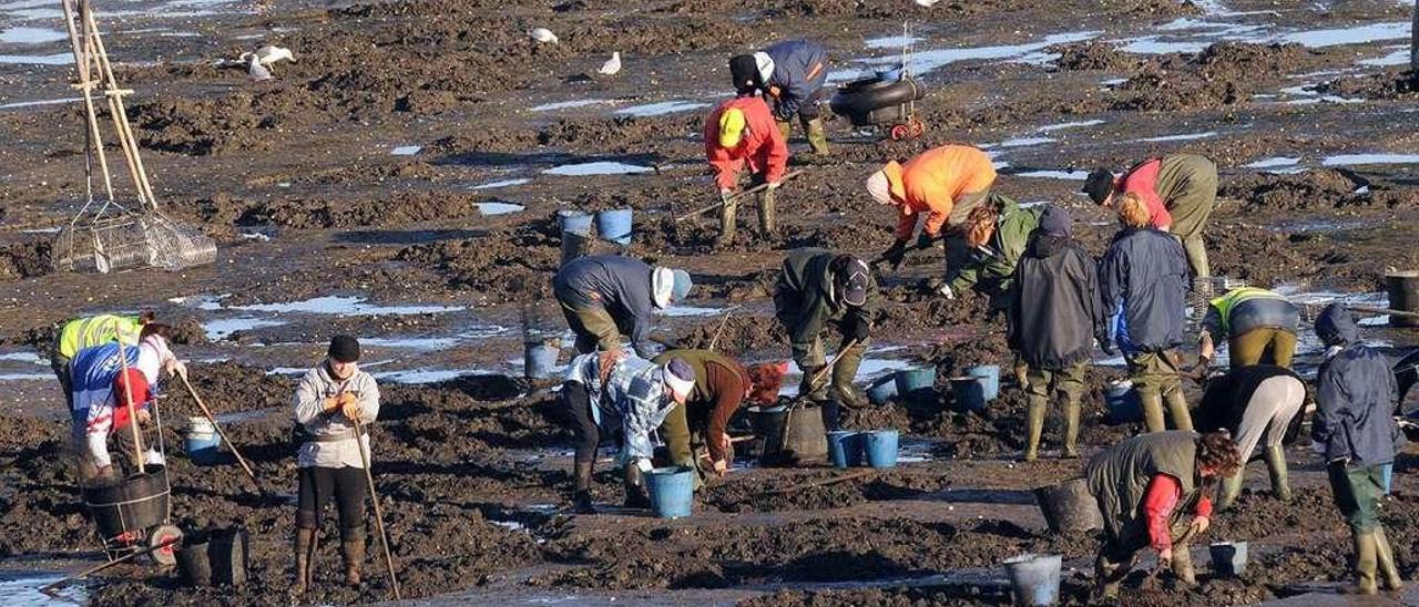 Mariscadores trabajando en Lourizán. // Rafa Vázquez