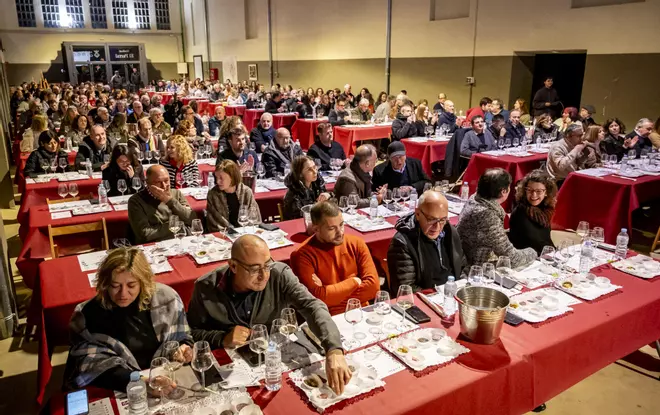 Les imatges de la festa de Santa Àgata de Capmany 2025