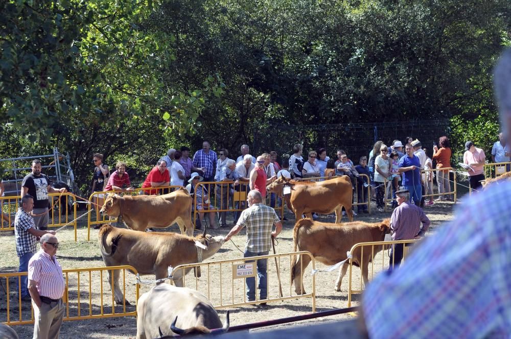 Última jornada en Femex y certamen ganadero