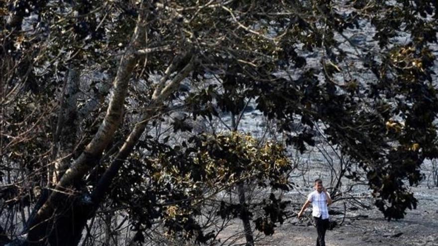 El fuego da una tregua a Galicia tras quemar 7.000 hectáreas