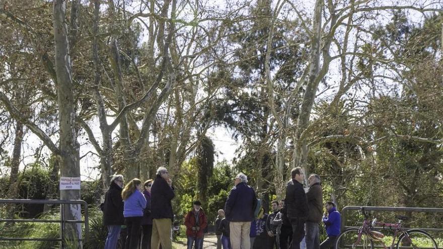 El TSJEx sentencia que el parque de la Ascensión de Badajoz no tiene valor