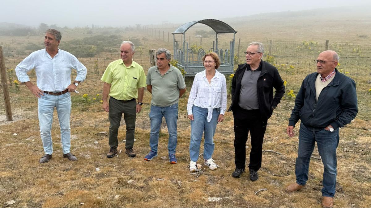 Visita de ayer al pasto de A Lama