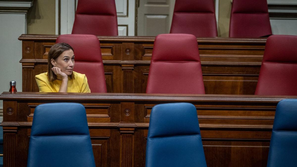 La diputada socialista Nira Fierro, ayer en el pleno del Parlamento de Canarias. | |