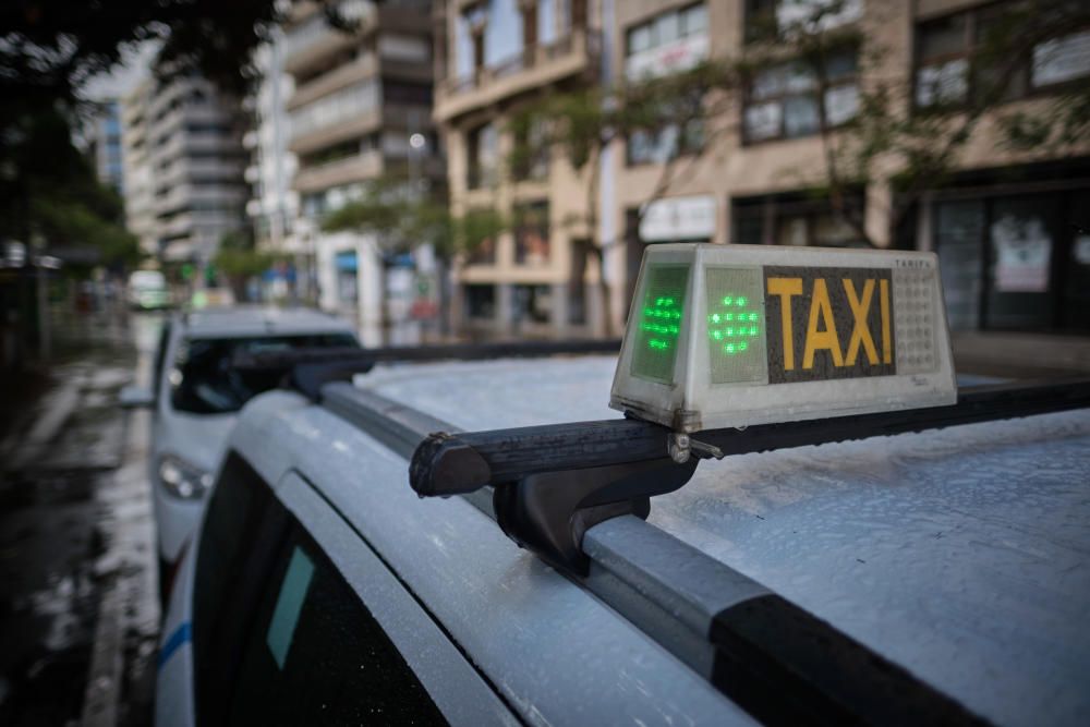 Taxis, guaguas y tranvía