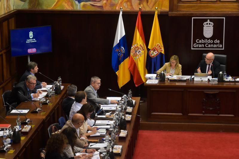 Pleno del Cabildo de Gran Canaria (29/11/19)