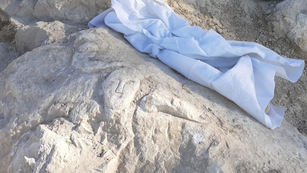 Los hallazgos en el Tossal de la Cala de Benidorm que se han llevado en secreto.