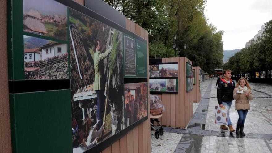 Los críticos con los Premios preparan una acampada en la plaza del Ayuntamiento