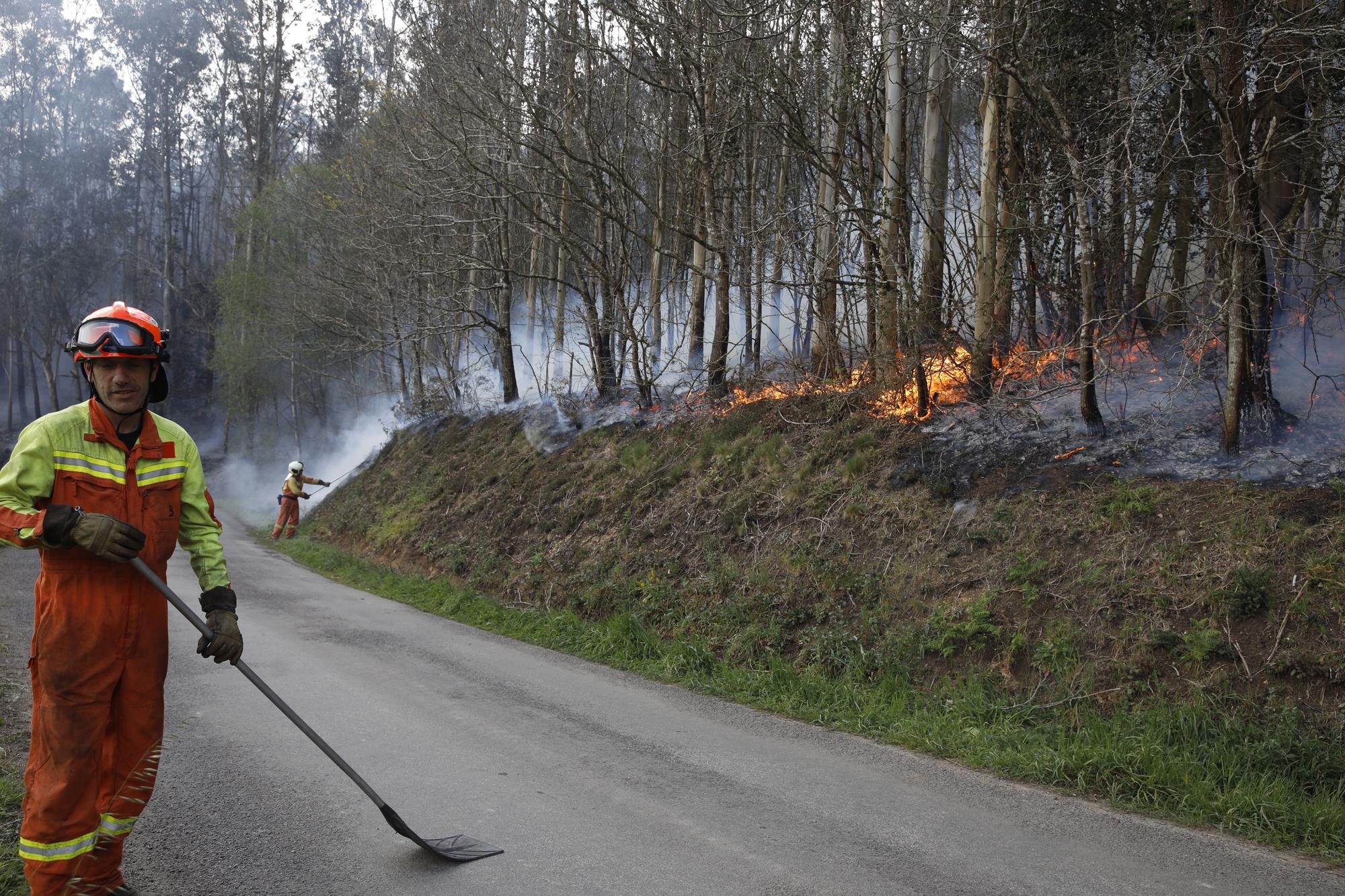 Bomberos de Asturias atrapando el fuego entre Naraval y Paredes