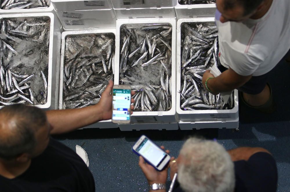 Así es un día de trabajo en la pescadería de Mercamálaga