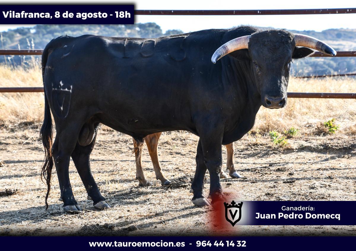 'Pontífice'. Número 103. Negro.
