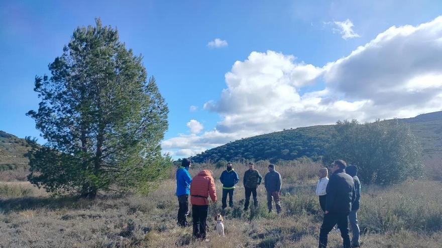 Benassal reforça la professionalització del sector amb un curs especialitzat sobre el gos tofoner