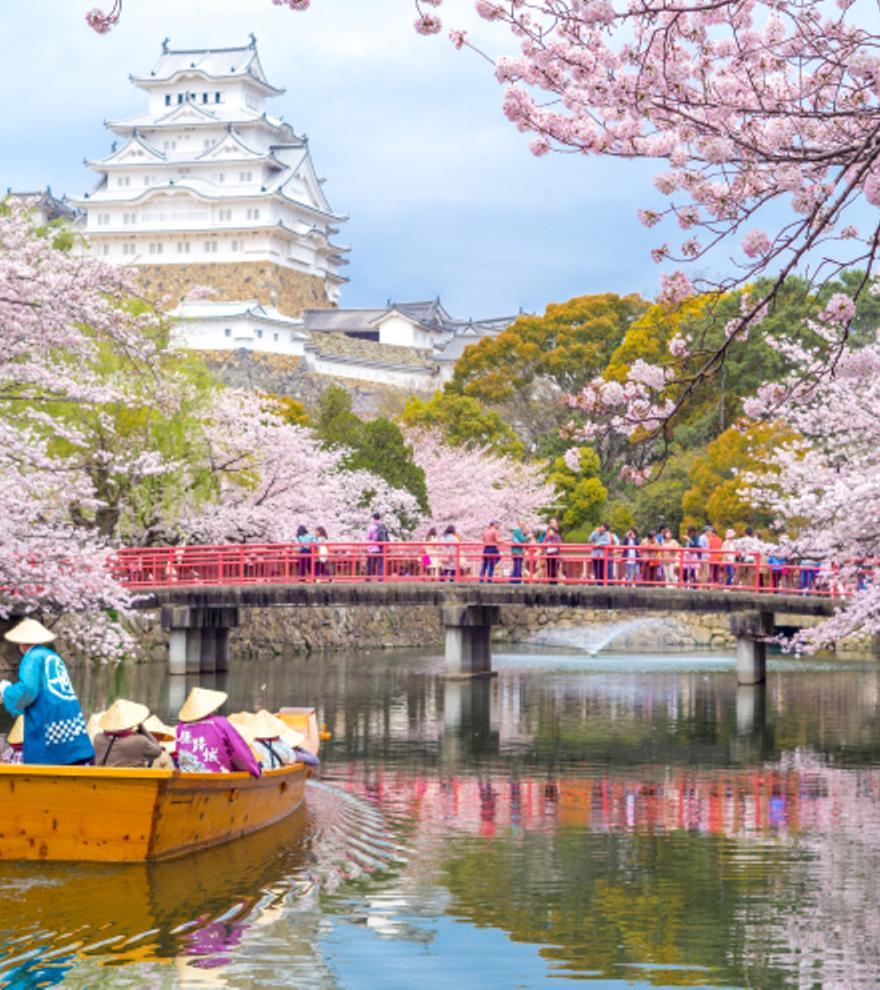 Oportunidad única para viajar a Japón: te contamos cómo unirte al viaje de tu vida esta Semana Santa
