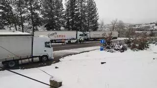 GALERÍA | Primera gran nevada del año en Sanabria