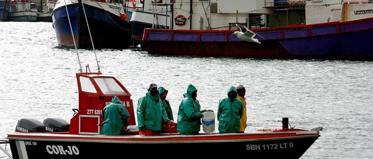 Un grupo de pescadores regresan, tras faenar, al puerto de "Hout Bay" de Ciudad del Cabo (Sudáfrica).