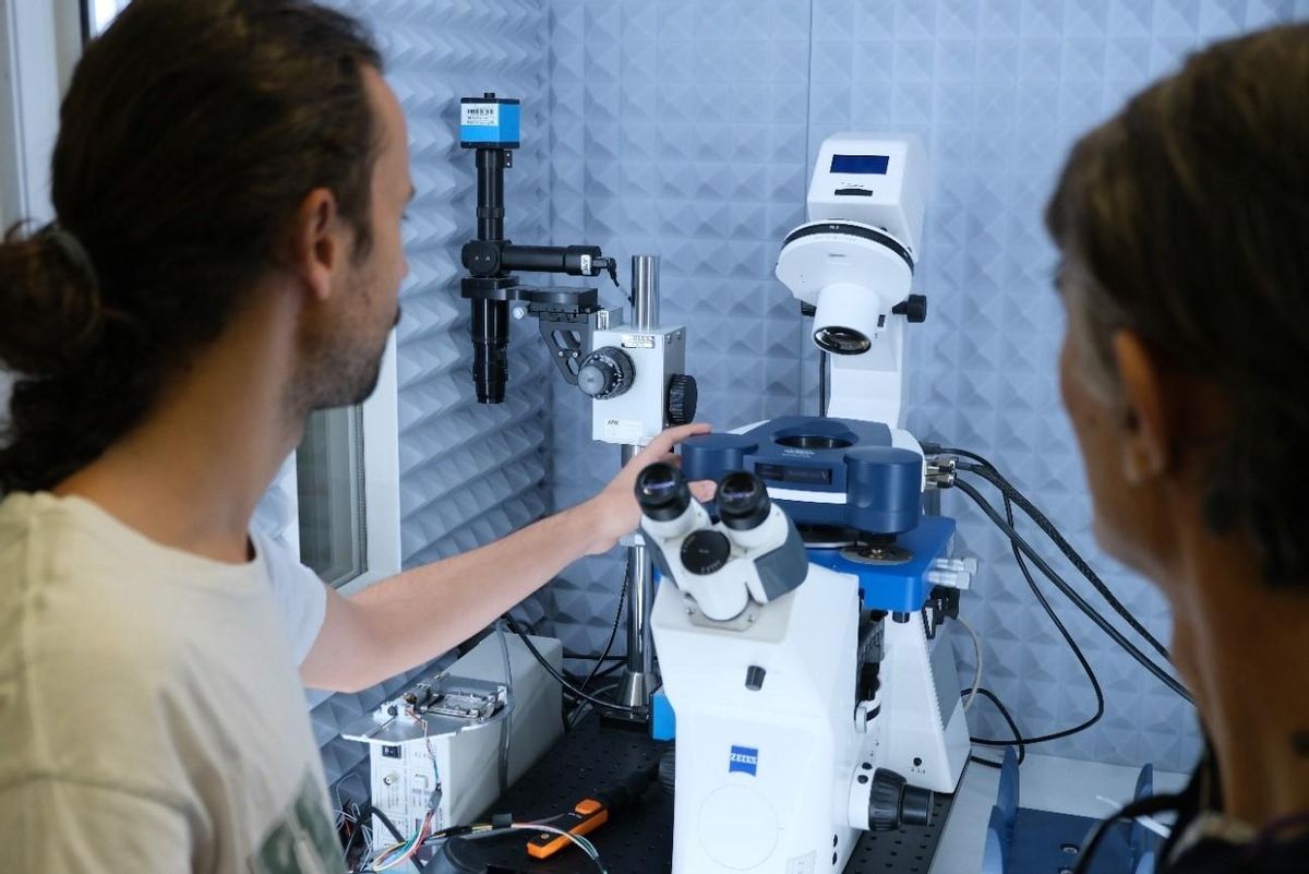 Espanya, país europeu on han crescut més les patents de centres públics Espanya, país europeu on han crescut més les patents de centres públics