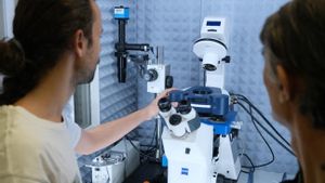 Espanya, país europeu on han crescut més les patents de centres públics