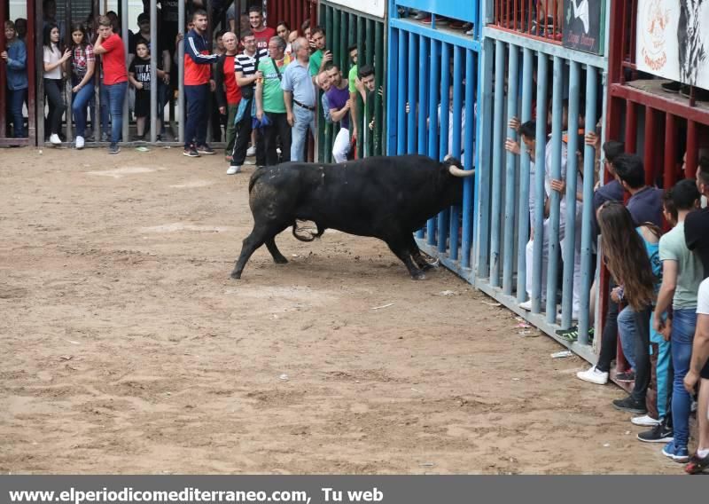 Fiestas patronales de Santa Quitèria de Almassora I