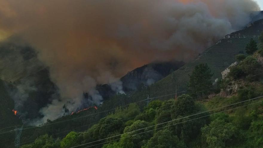 Un incendio quema una amplia extensión de bosque en la cara sur del Cuera