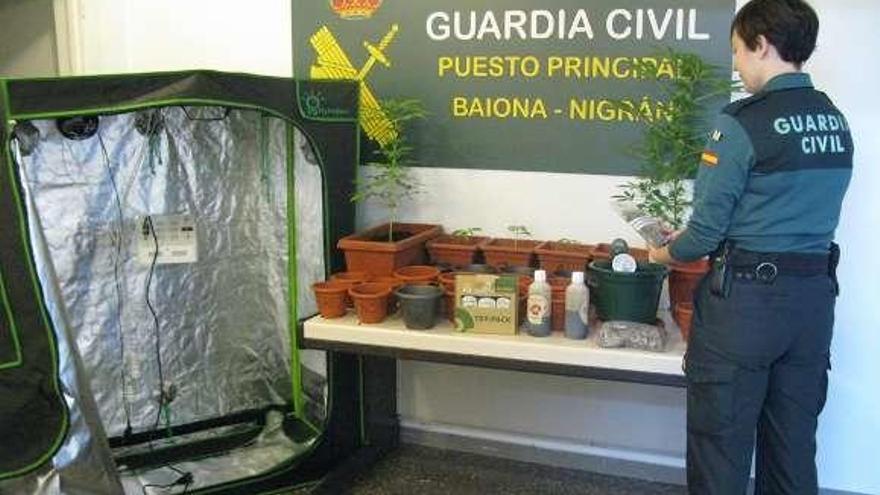 Plantas y efectos incautados por la Guardia Civil. // Fdv