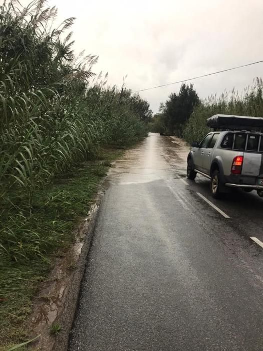 Tallen la carretera de Vilabertran a Peralada