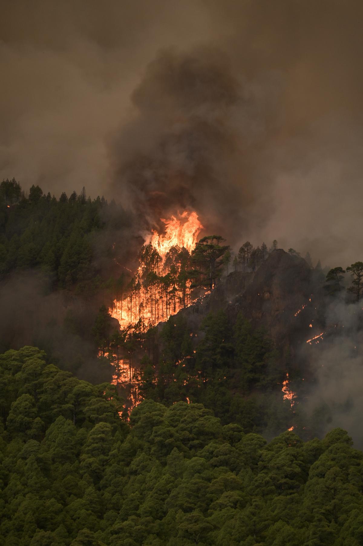 El incendio forestal de Tenerife, sin control