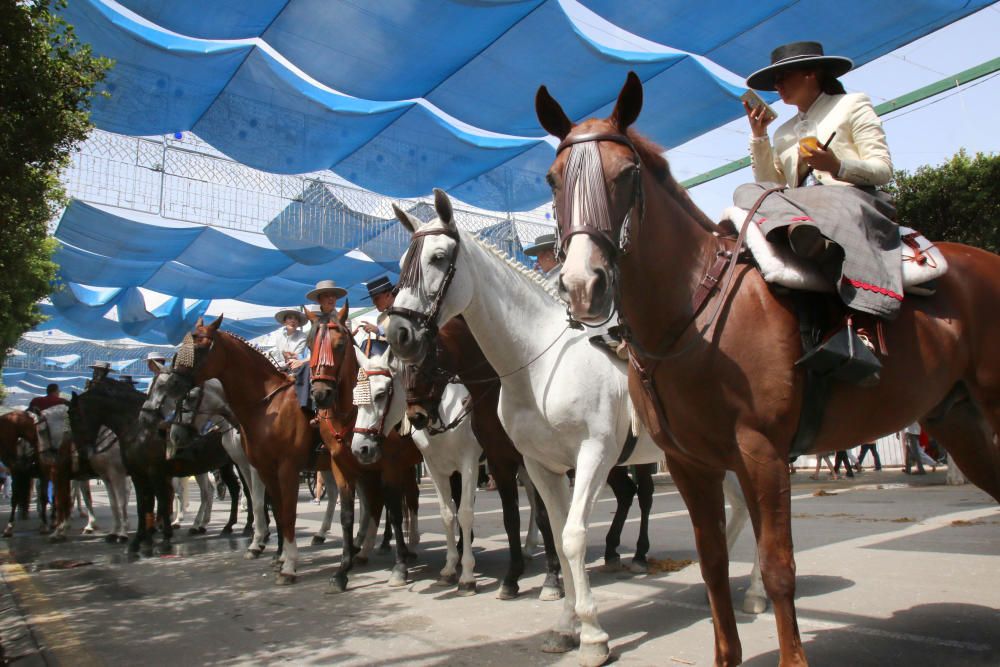 Domingo 14 de agosto en el Real de Cortijo de Torres.