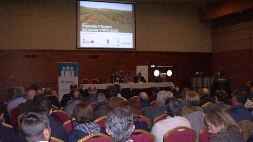 Más de 200 agricultores se reunieron ayer en Jumilla en las jornadas de UPA.