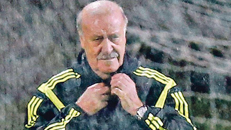 Vicente del Bosque.