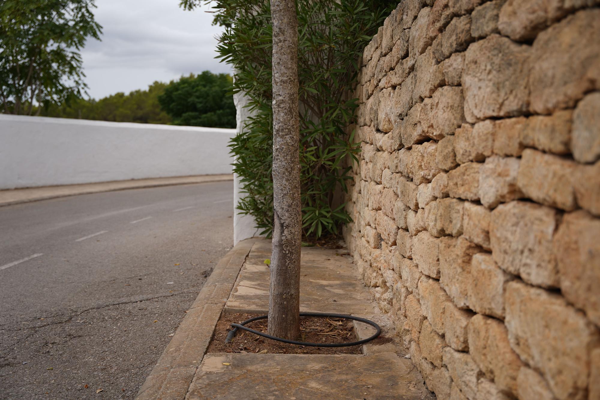 Un nuevo acceso sin barreras arquitectónicas para la iglesia de Sant Llorenç