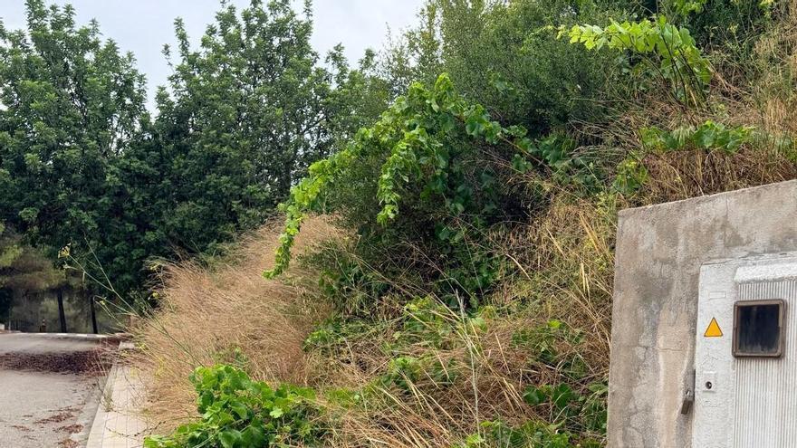 Un plan contra incendios desactualizado mantiene en vilo a 200 vecinos de Albalat dels Tarongers
