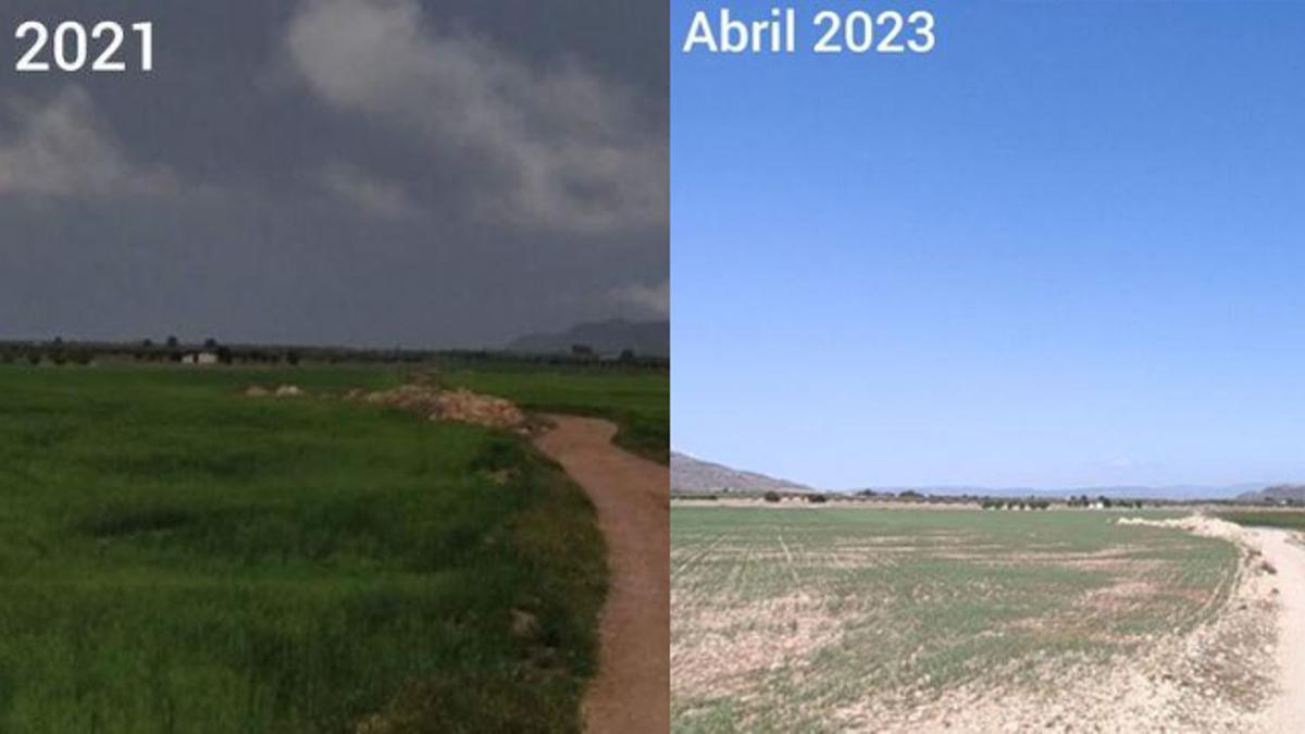 Comparativa del paisaje en dos años