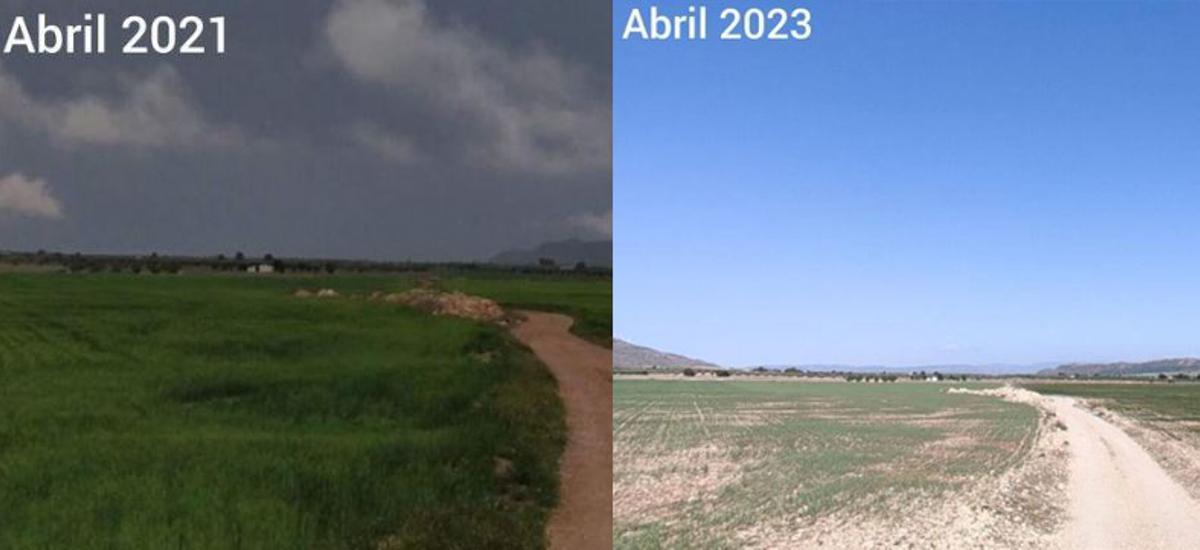 Comparativa del paisaje en dos años