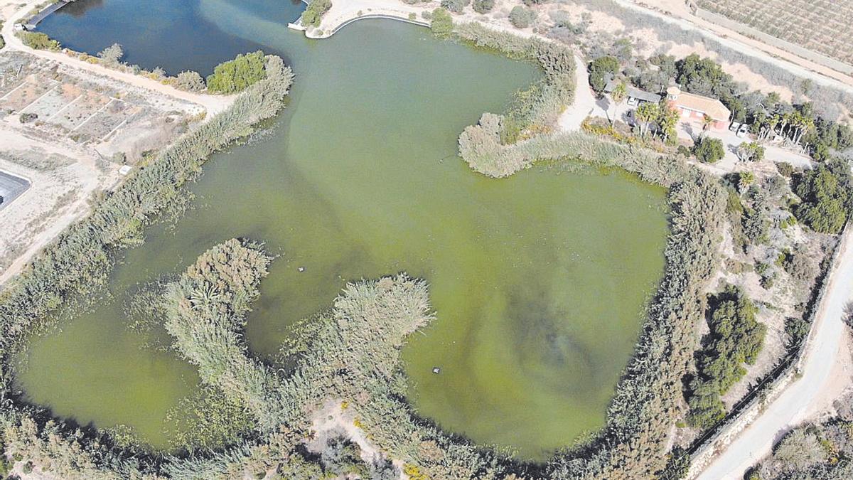 Imagen de los humedales de Las Moreras.