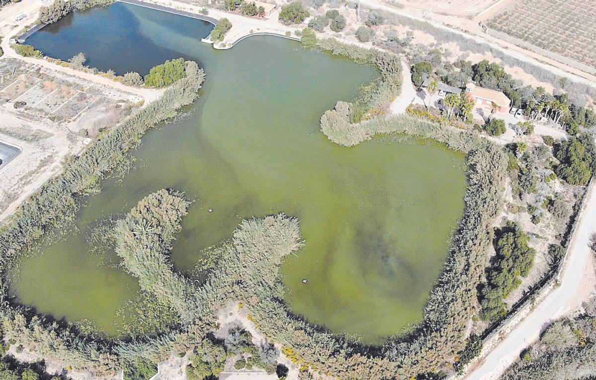 Imagen Humedales Las Moreras (002)