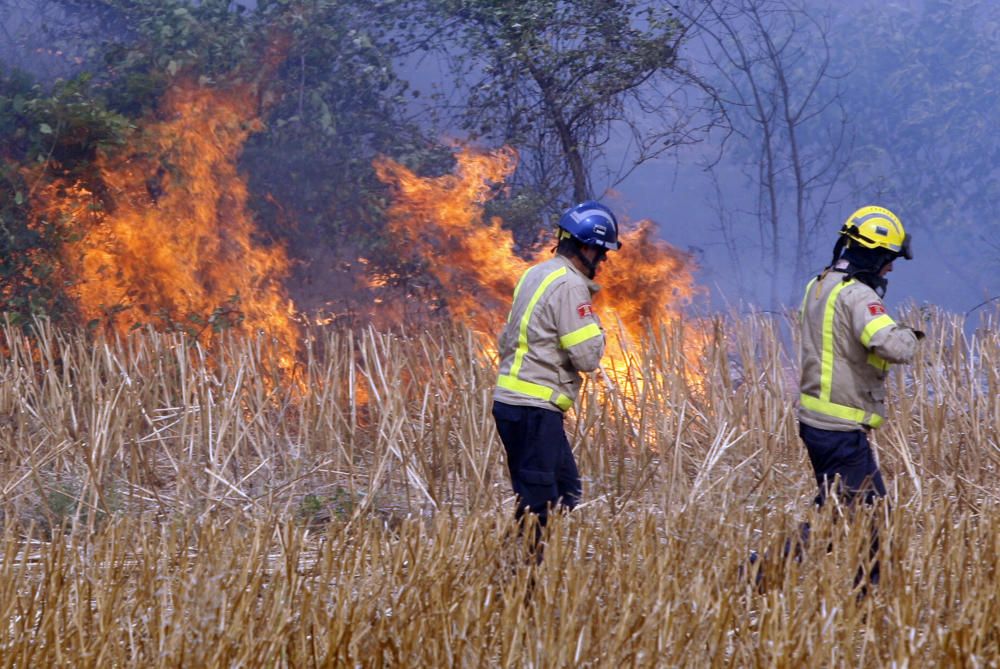 Incendi entre Cruïlles i Monells