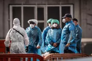 Hantavirus: calma, ciencia y humanidad