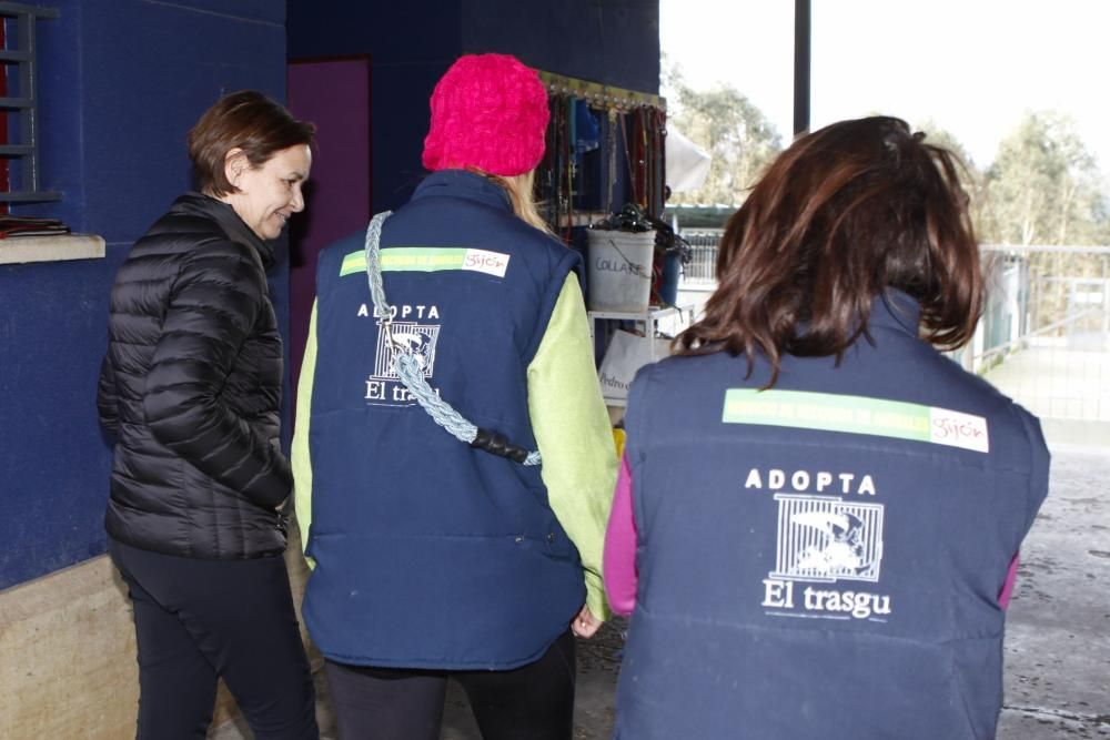 Carmen Moriyón y Maniel Arrieta visitan el Albergue de Animales de Serín