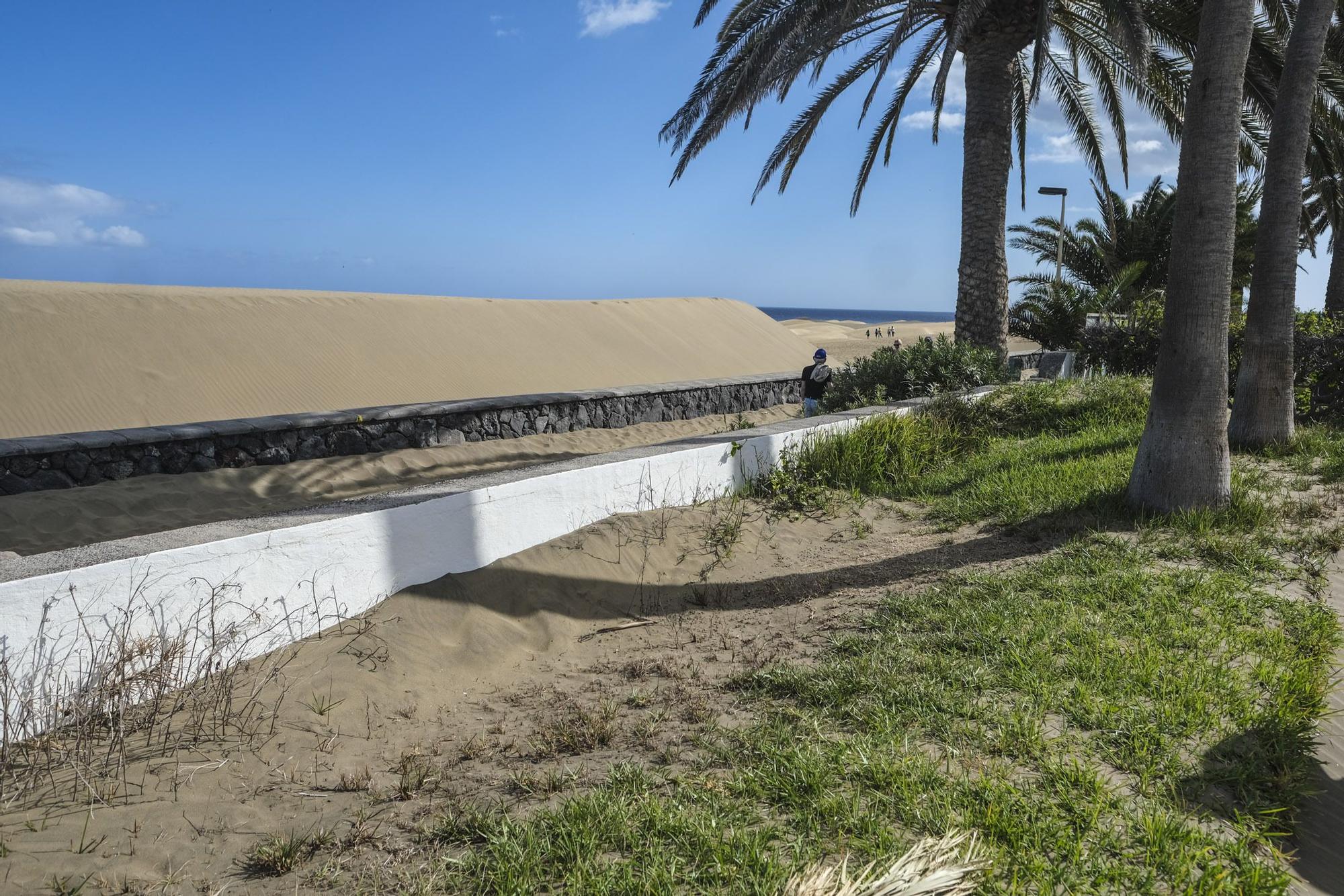 Las dunas de Maspalomas 'se comen' el paseo de Playa del Inglés