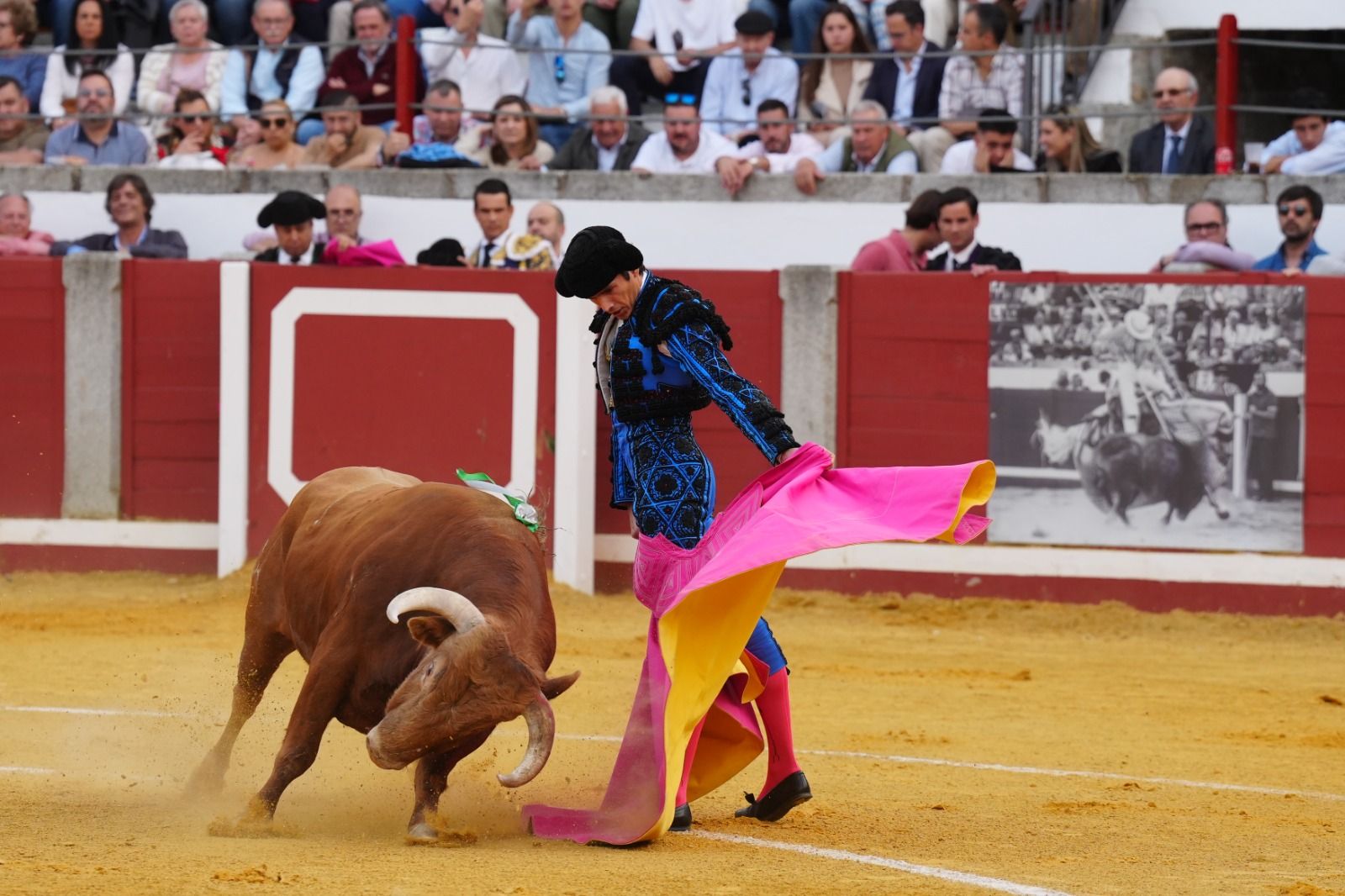 Castella, Manzanares y Roca Rey abren la puerta del Gallo de Los Llanos