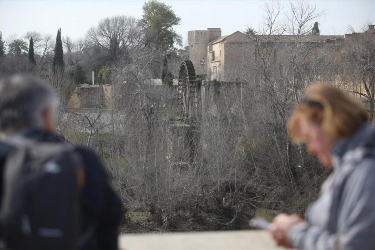 La restauración de la noria evidencia la necesidad de actuar en los Sotos