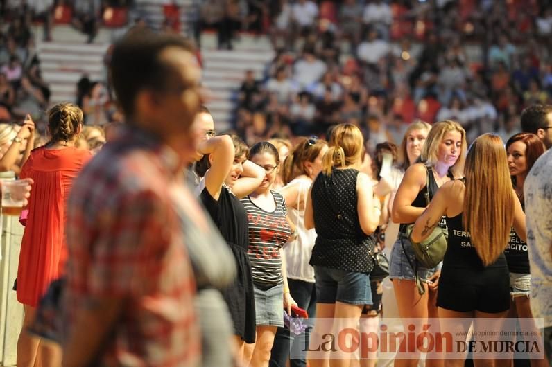 Concierto de Luis Fonsi en Murcia