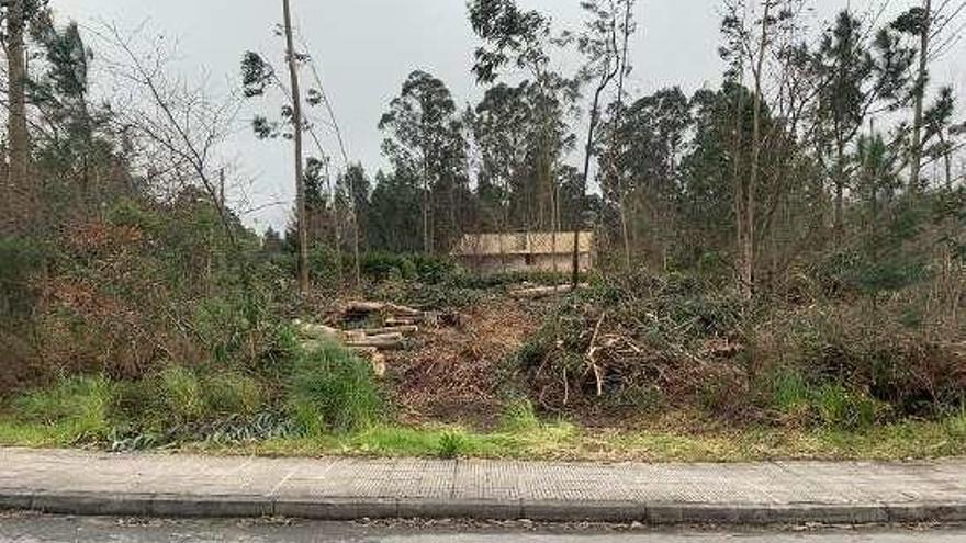 Troncos sobre el monumento megalítico de A Gándara. // SOS Groba