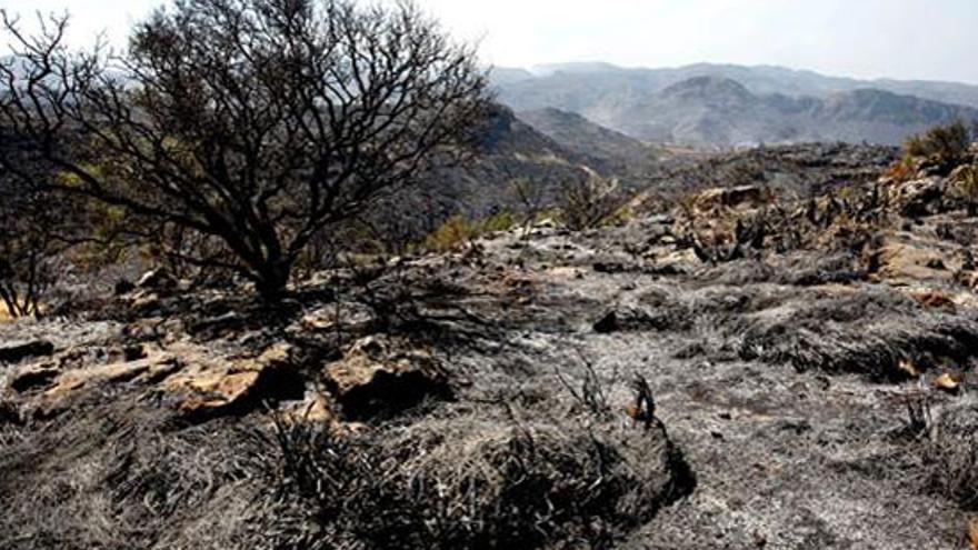 Un incendio en Turre (Almería) ha calcinado ya más de 4.000 hectáreas