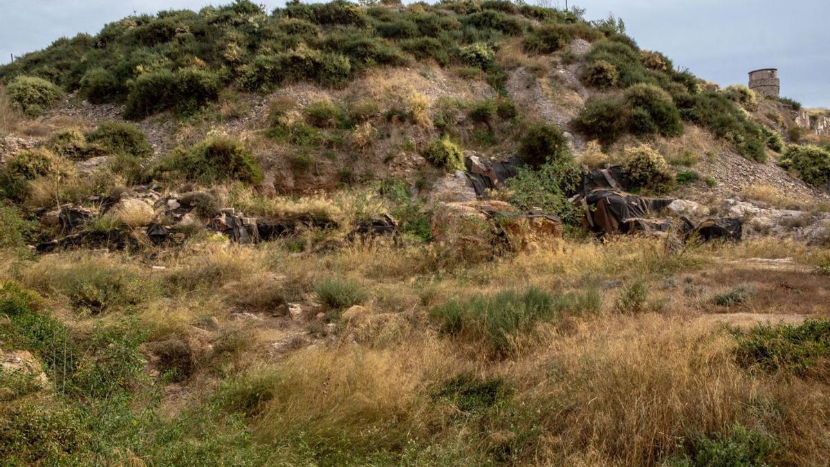 Restos arqueológicos en la Morería, repletos de maleza.