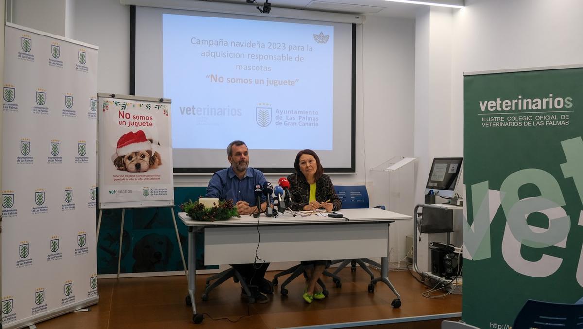 Ayuntamiento y Colegio de Veterinarios lanzan una campaña para fomentar la responsabilidad en la adopción de mascotas.
