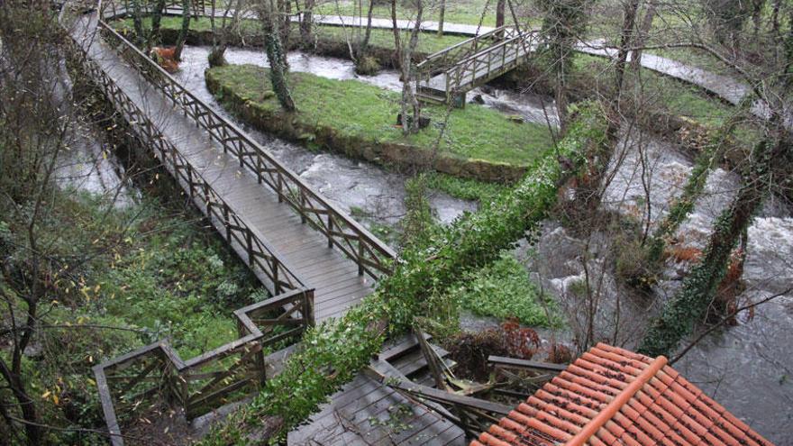 Un tronco de grandes dimensiones cae en el paseo fluvial del Anllóns